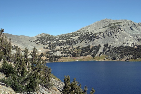 Enlarge photo 50