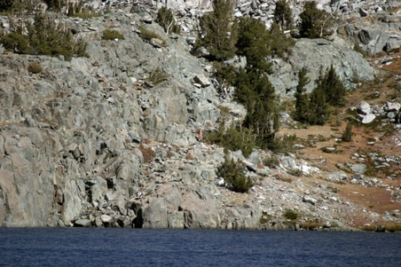 Enlarge photo 56