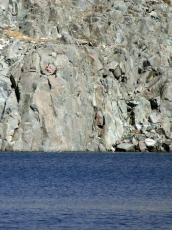 Enlarge photo 57