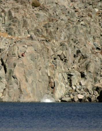 Enlarge photo 59