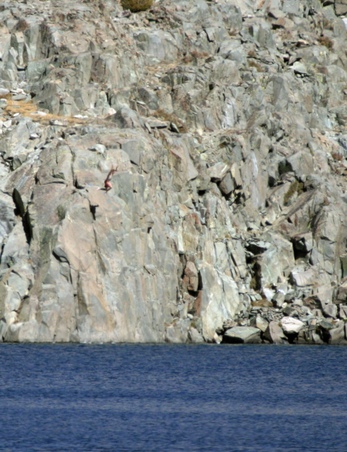Enlarge photo 60