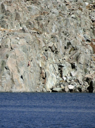 Enlarge photo 61
