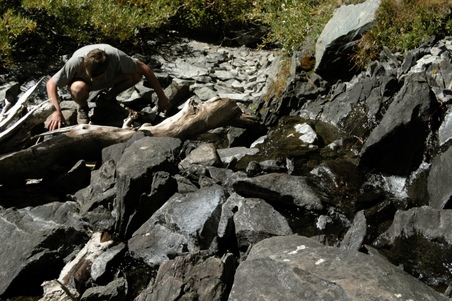 Enlarge photo 65