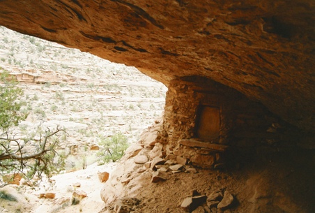 Enlarge photo 10