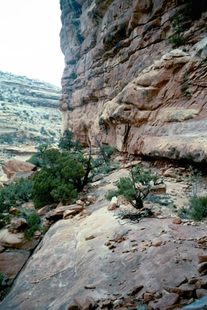 Enlarge photo 20