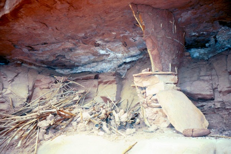 Enlarge photo 24