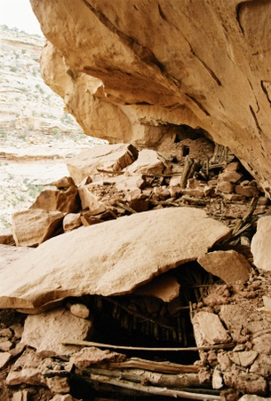 Enlarge photo 32