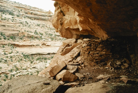 Enlarge photo 35