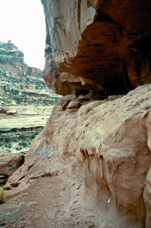 Enlarge photo 37