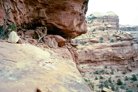 Enlarge photo 39