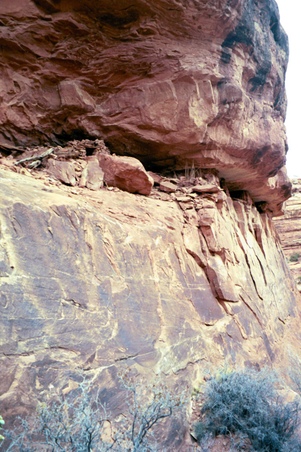 Enlarge photo 40