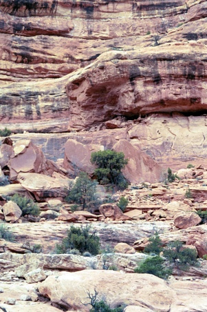 Enlarge photo 41