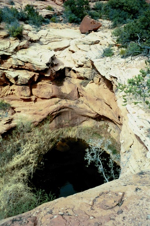 Enlarge photo 42