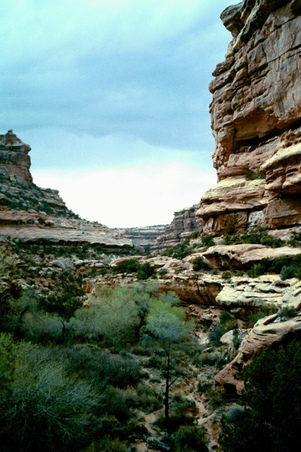 Enlarge photo 43