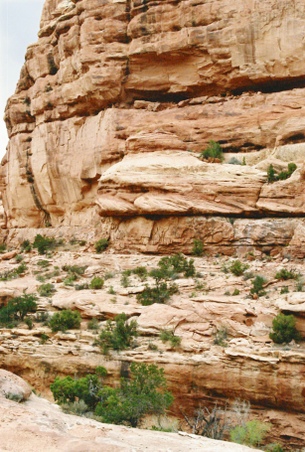 Enlarge photo 44