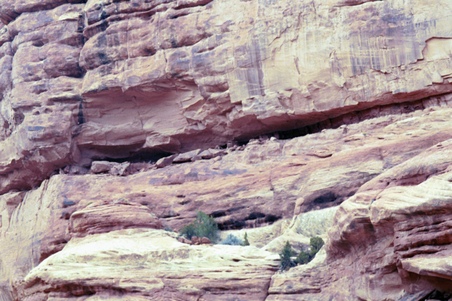 Enlarge photo 46