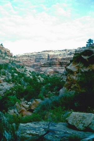 Enlarge photo 48