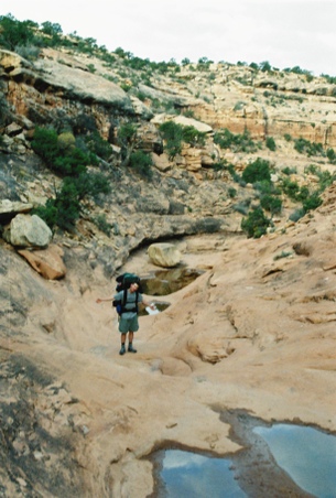 Enlarge photo 49