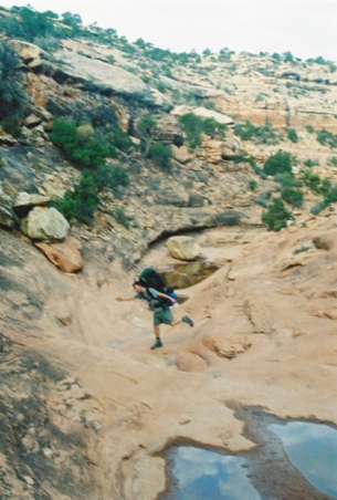 Enlarge photo 50