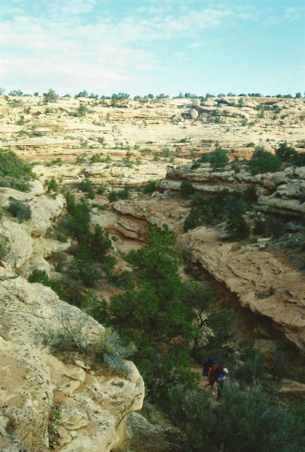 Enlarge photo 51