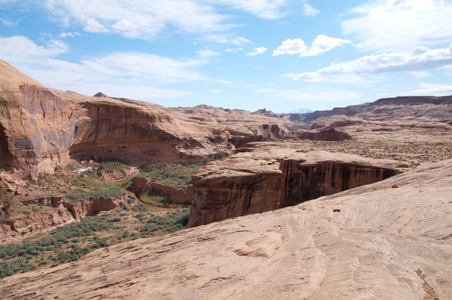 Enlarge photo 49
