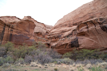 Enlarge photo 80