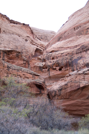Enlarge photo 81