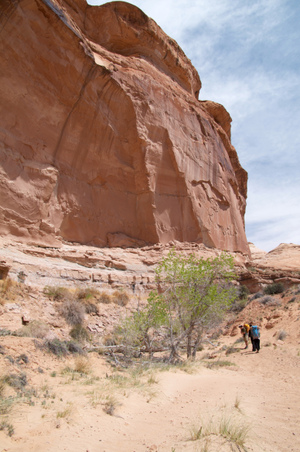 Enlarge photo 95