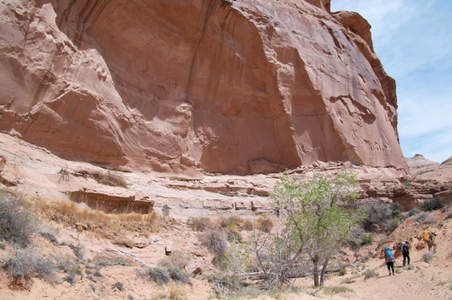 Enlarge photo 96