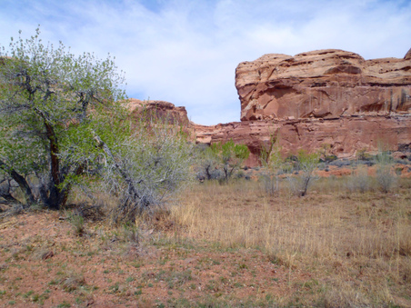 Enlarge photo 93