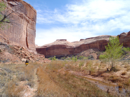 Enlarge photo 97