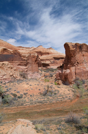 Enlarge photo 103