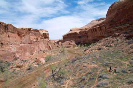 Enlarge photo 102