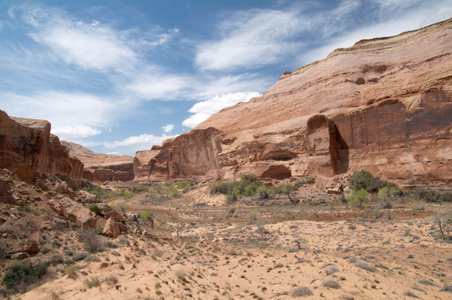 Enlarge photo 105