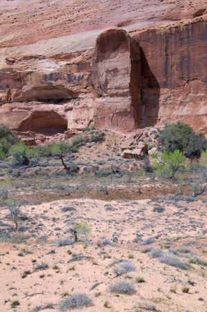 Enlarge photo 106