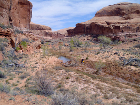 Enlarge photo 110