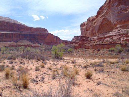 Enlarge photo 111