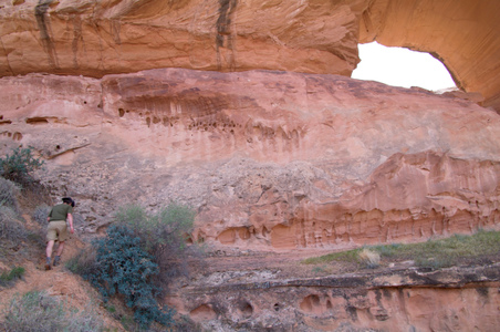 Enlarge photo 114