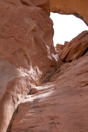 Enlarge photo 116