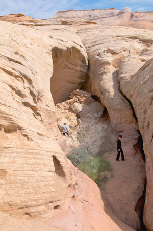 Enlarge photo 120