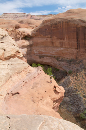 Enlarge photo 135
