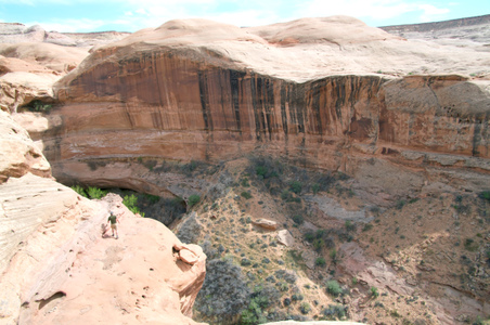 Enlarge photo 137