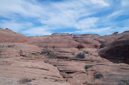 Enlarge photo 138