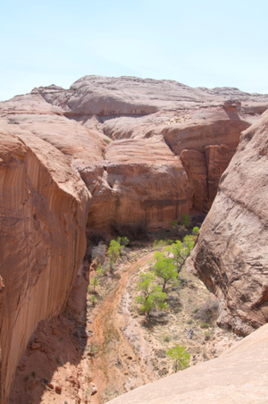 Enlarge photo 156