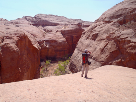 Enlarge photo 157