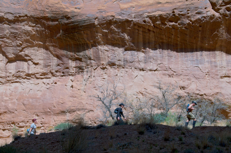 Enlarge photo 166