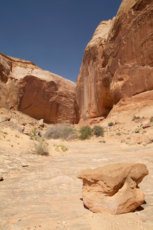 Enlarge photo 170