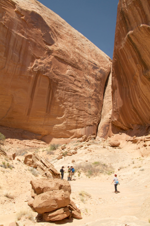 Enlarge photo 171