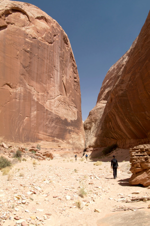 Enlarge photo 173