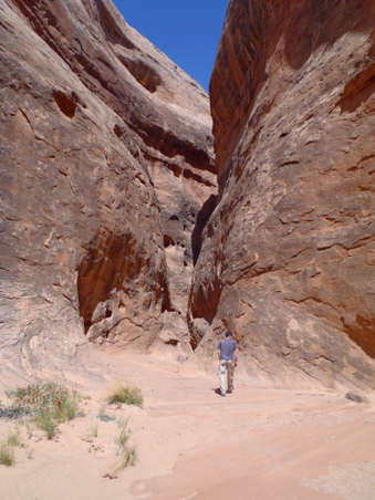 Enlarge photo 186